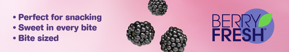 Sweet Karoline  Blackberries - Perfect for Snacking