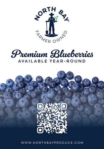 Premium Blueberries, Available Year-Round