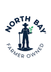 Michigan Blueberries from North Bay Produce