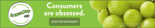 Consumers are Obsessed 