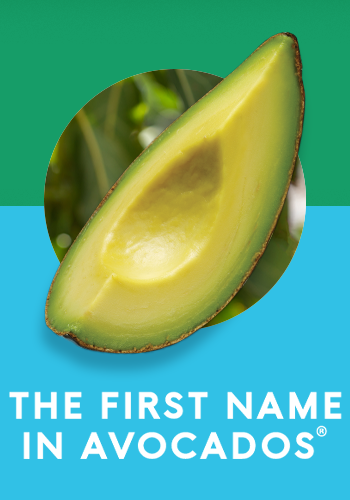 The First Name in Avocados