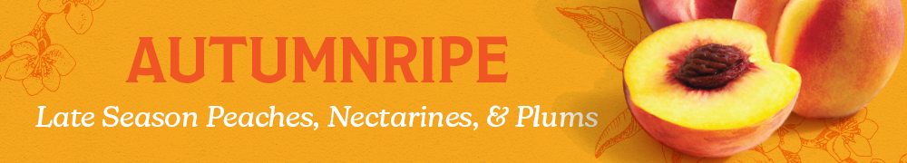 AUTUMNRIPE