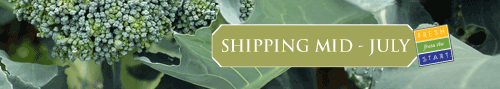 Freshouse - Shipping Mid-July