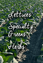 Freshouse - Lettuce, Specialty Greens, Herbs