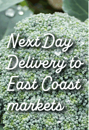 Freshouse - Next Day Delivery to East Coast Markets