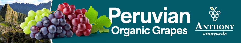 Peruvian Organic Grapes