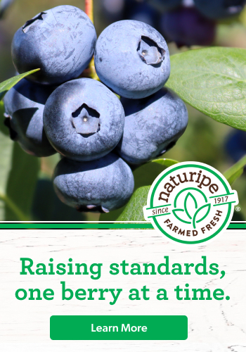 Raising standards one berry at a time