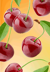 Cherry season ain't over yet!