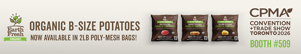 Organic B-size potatoes