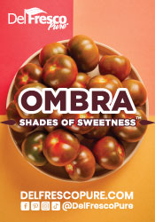 Ombra Shades of Sweetness