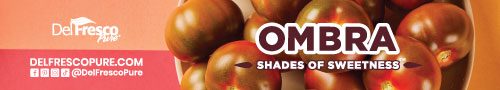 Ombra Shades of Sweetness