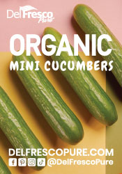 Organic Mini Cucumbers