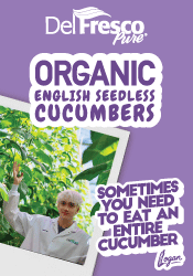 Organic English Seedless Cucumbers
