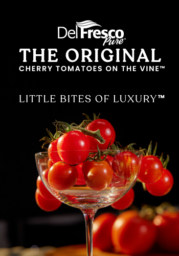 Little Bites of Luxury