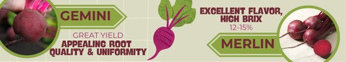 Beets