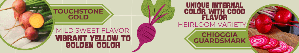 Beets