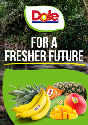 For a fresher future