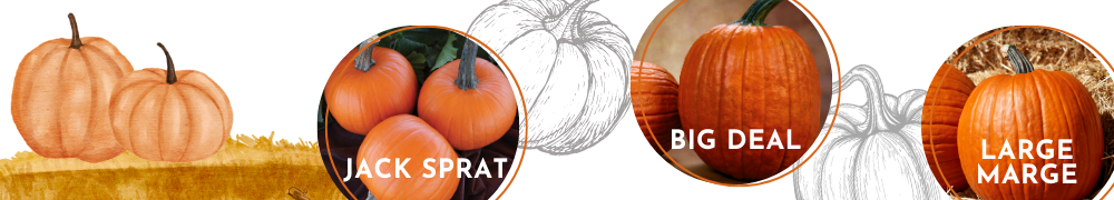Pumpkins