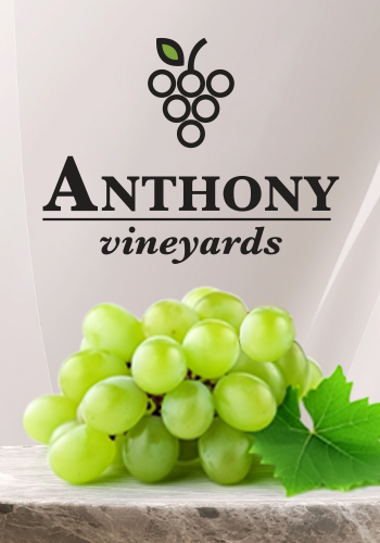 Conventional, organic, and specialty