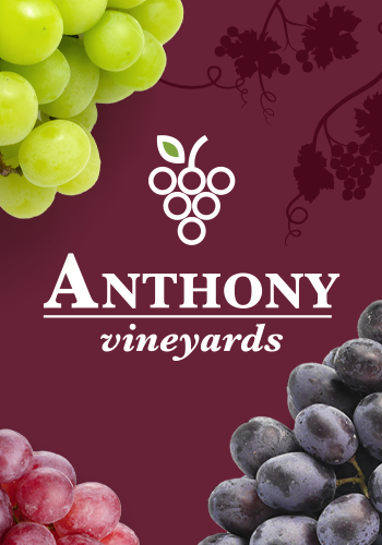 Conventional and Organic Grapes