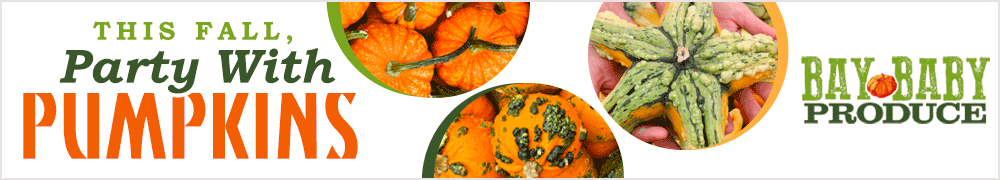 This Fall, Party With Pumpkins