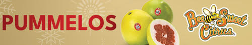 Give the gift of prosperity