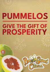 Give the gift of prosperity