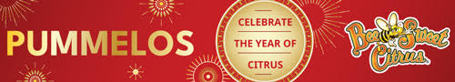 Bee Sweet - Celebrate the Year of Citrus