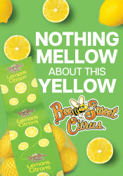 Nothing mellow about this yellow