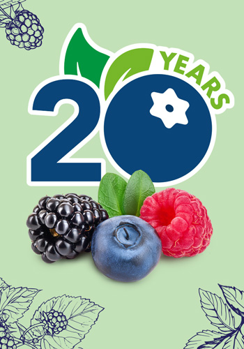 Berry Fresh - Berry Flavorful