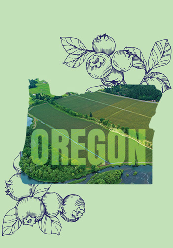 Berry Fresh - Handpicked for Flavor