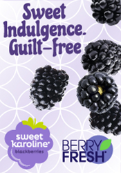 Berry Fresh - Sweet Karoline Blackberries