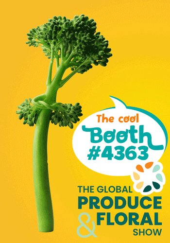 Bimi Baby Broccoli