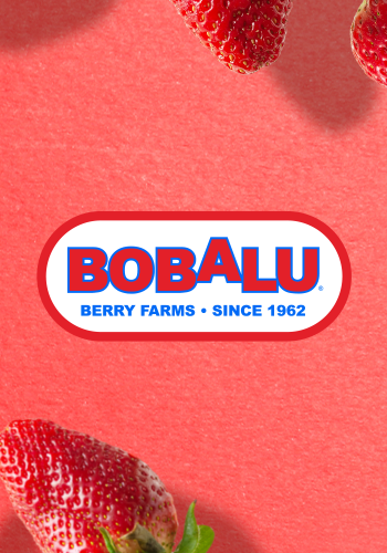 Bobalu - Hand-Picked Strawberries