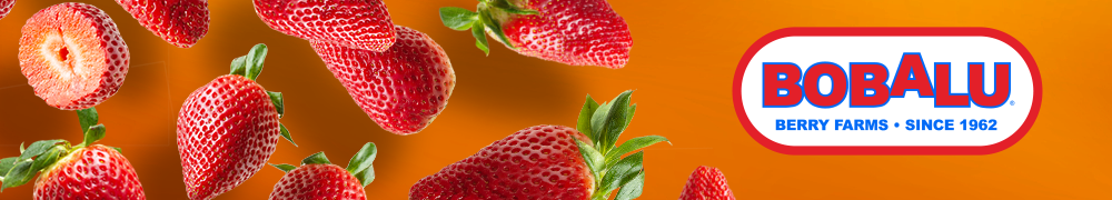 Bobalu - Year-Round Strawberries