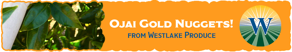 Westlake Produce - Ojai Gold Nuggets