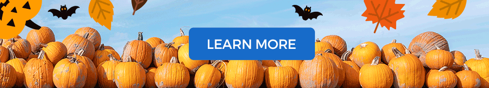 Westlake Produce - Pumpkins