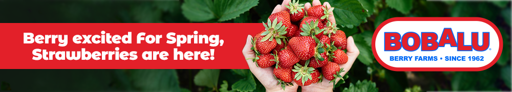 Berry Excited for Spring, Strawberries are here!