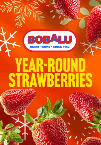 Bobalu - Fresh Strawberries