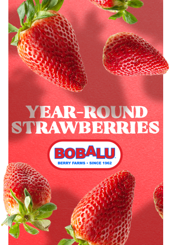 Bobalu - Hand-Picked Strawberries