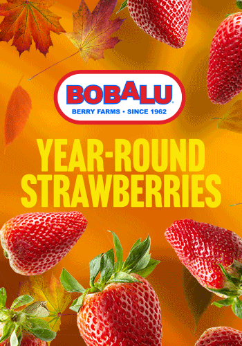 Bobalu - Year-Round Strawberries