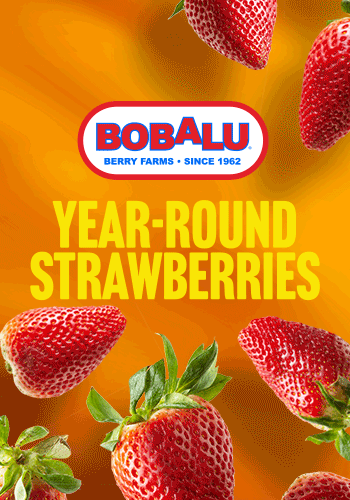 Bobalu - Fresh Hand-Picked Strawberries