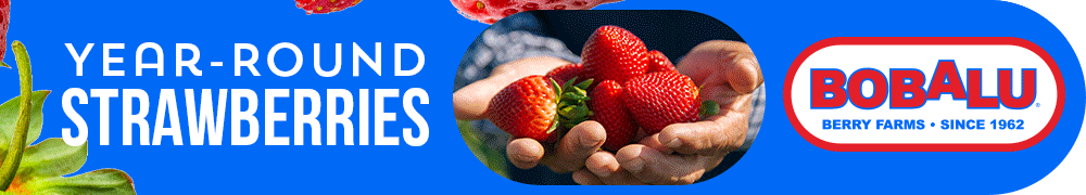 Bobalu - Hand-Picked Strawberries