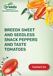 BreedX - Sweet and Seedless Peppers