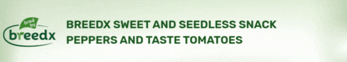 BreedX - Sweet and Seedless Peppers