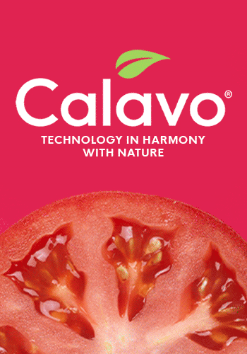 The first name in avocados