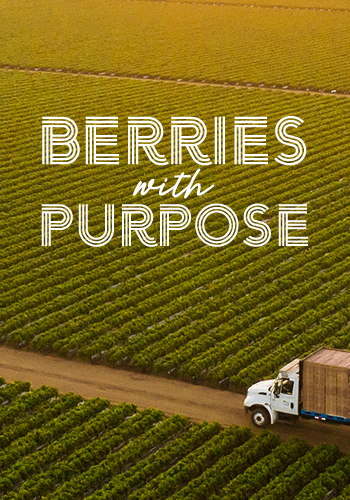 Berries With Purpose