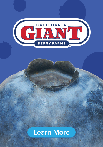 Cal Giant   GIANT Blueberries  Bigger  Better  BEST 