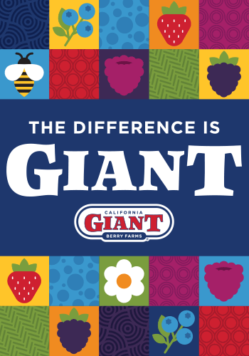 Cal Giant - The Difference is Giant