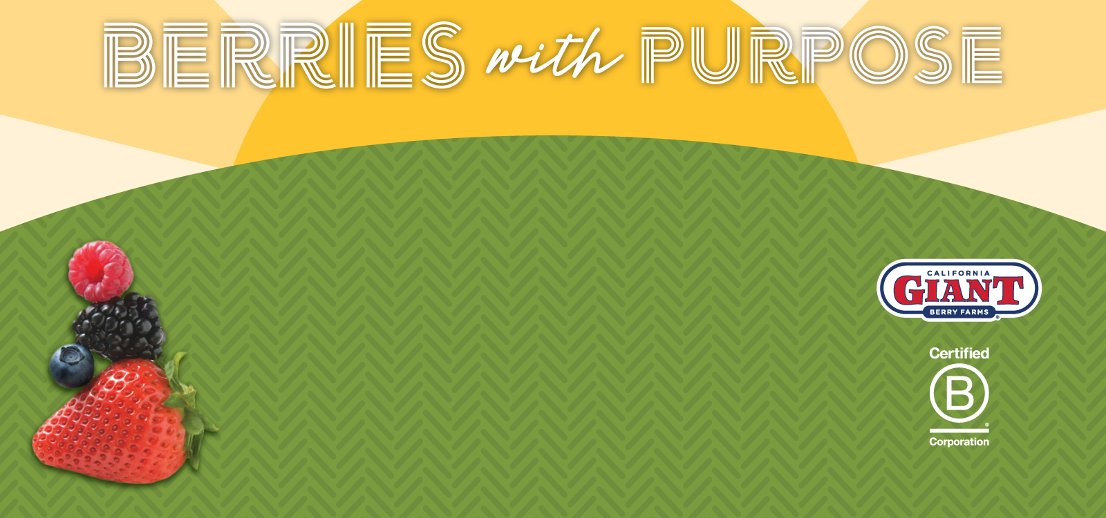 Wraparound Ad